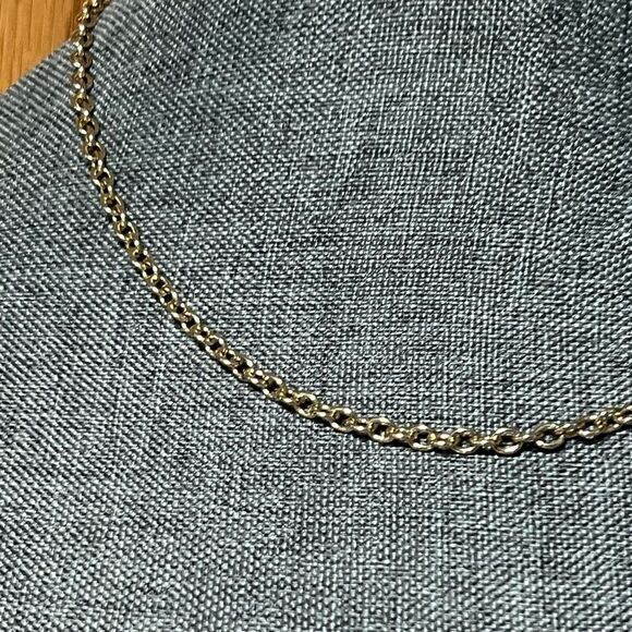 NWT Ralph Lauren Gold Chain Necklace #TSNK - Picture 3 of 7